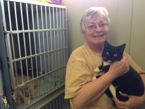 Kathi Pfeifer holding one of the stray cats the shelter is currently housing.
